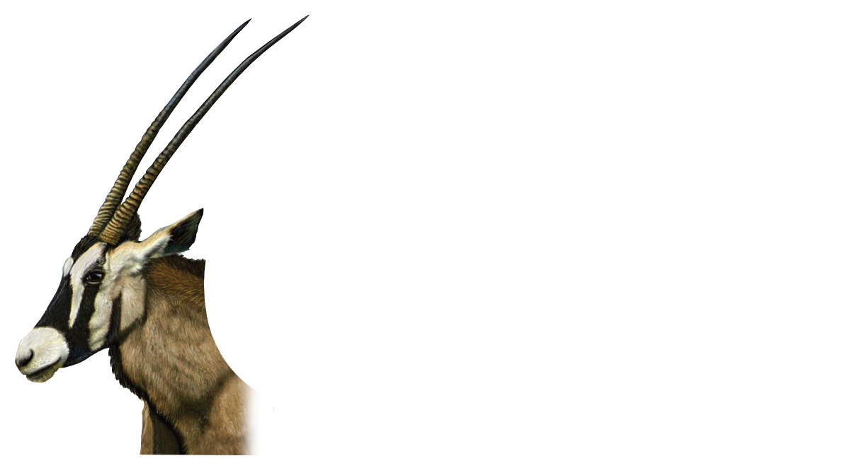 ORYX Ladies Only